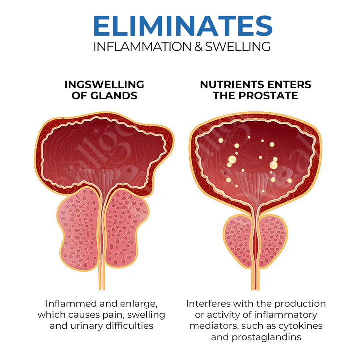 ProstaVibe BeeBoom Wellness