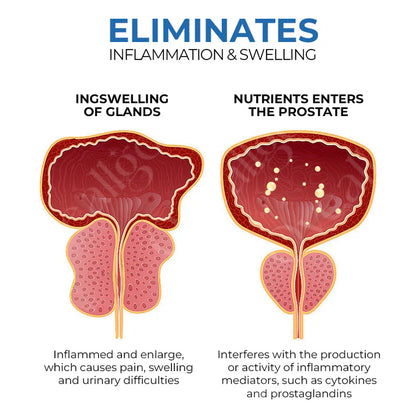 ProstaVibe BeeBoom Wellness