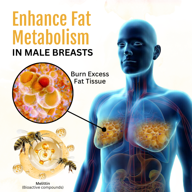 ThermoFirm Bee Venom Gynecomastia Oil